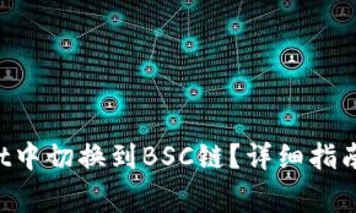 如何在TP Wallet中切换到BSC链？详细指南与常见问题解答