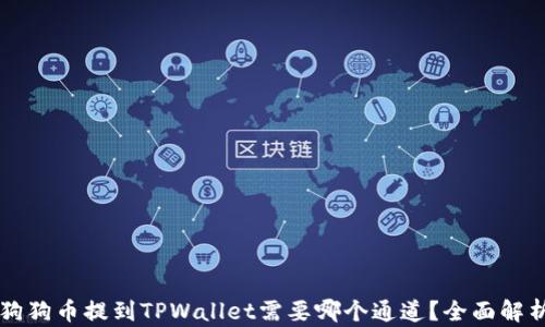 
狗狗币提到TPWallet需要哪个通道？全面解析