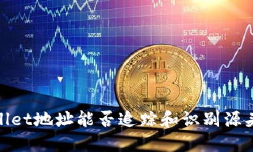 tpwallet地址能否追踪和识别源头详解