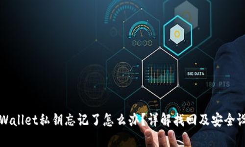 TPWallet私钥忘记了怎么办？详解找回及安全设置