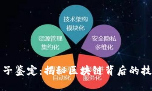 虚拟币电子鉴定：揭秘区块链背后的技术与安全