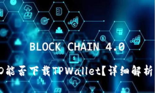 国内苹果ID能否下载TPWallet？详细解析与使用指南