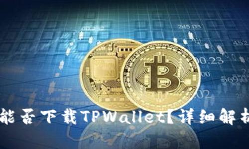 国内苹果ID能否下载TPWallet？详细解析与使用指南