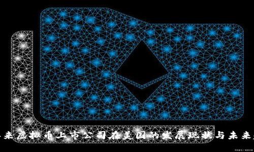 近年来虚拟币上市公司在美国的发展现状与未来趋势