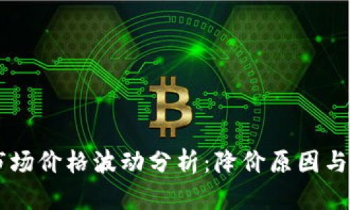 虚拟币市场价格波动分析：降价原因与未来展望