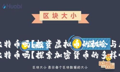 虚拟币只有比特币吗？投资虚拟币的机会与风险分析
虚拟币只有比特币吗？探索加密货币的多样性与投资机会