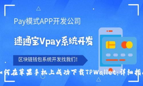 如何在苹果手机上成功下载TPWallet：详细指南
