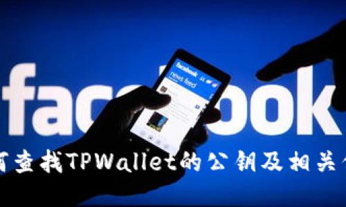 如何查找TPWallet的公钥及相关信息