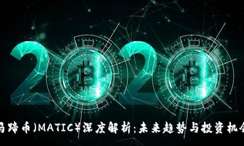 :
马蹄币（MATIC）深度解析：未来趋势与投资机会