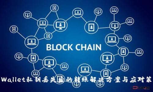 TPWallet私钥丢失后的转账解决方案与应对策略