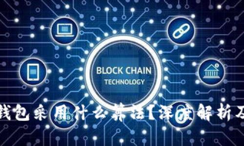 虚拟币钱包采用什么算法？深度解析及其影响